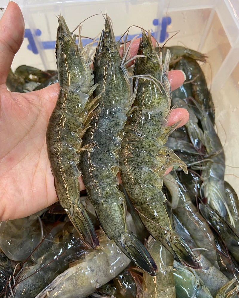 Tôm mua về ĐỪNG vội cho vào tủ lạnh: Thêm đúng 1 thứ này, tôm để lâu vẫn tươi như mới- Ảnh 2.