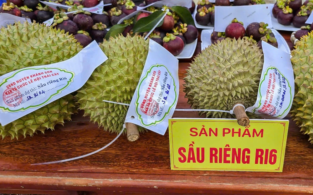 Sầu riêng Khánh Sơn được đăng ký giấy chứng nhận nhãn hiệu. z7429302298244_b0d78cc18d8105380c65463de4671ef8.jpg