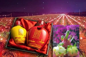 Lâm Đồng thông tin về dừng bảo hộ chỉ dẫn địa lý cho tôm Bình Thuận