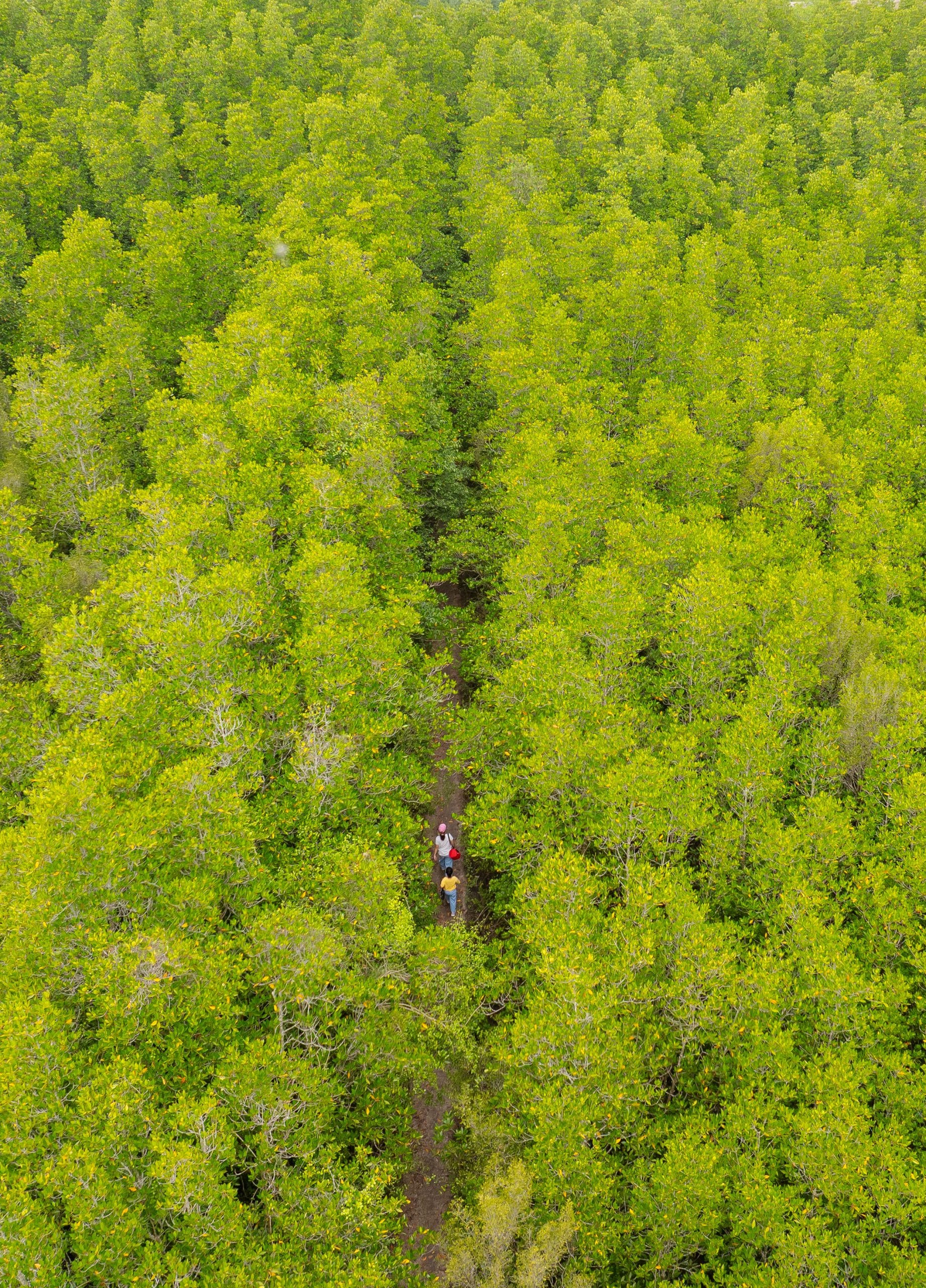 Ngọn núi ở TP.HCM cao chỉ hơn 10m: Được ví như 