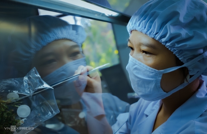 Nhân viên trong hệ thống nhà xưởng sản xuất cây giống nông nghiệp ở Bình Định cũ. Ảnh: Dũng Nhân