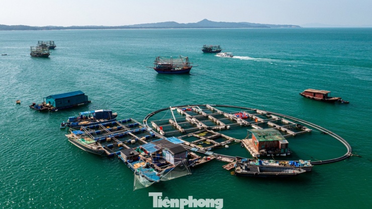 Để đi ra đảo, người dân, khách du lịch có thể đi tàu, xuồng cao tốc từ các cảng thuộc Đặc khu Vân Đồn mất khoảng hơn 1 giờ hoặc mất 15 phút nếu đi từ đảo Cô Tô lớn.