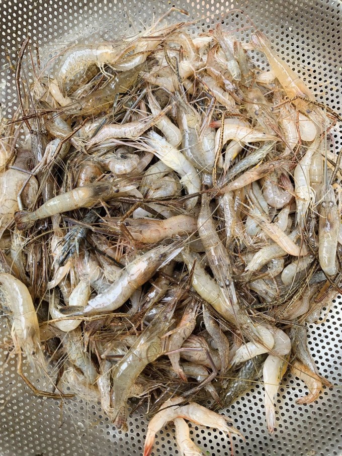 Mẹo làm bánh bột lọc Huế dễ thành công tại nhà 3 Mẹo làm bánh bột lọc Huế dễ thành công tại nhà - 2