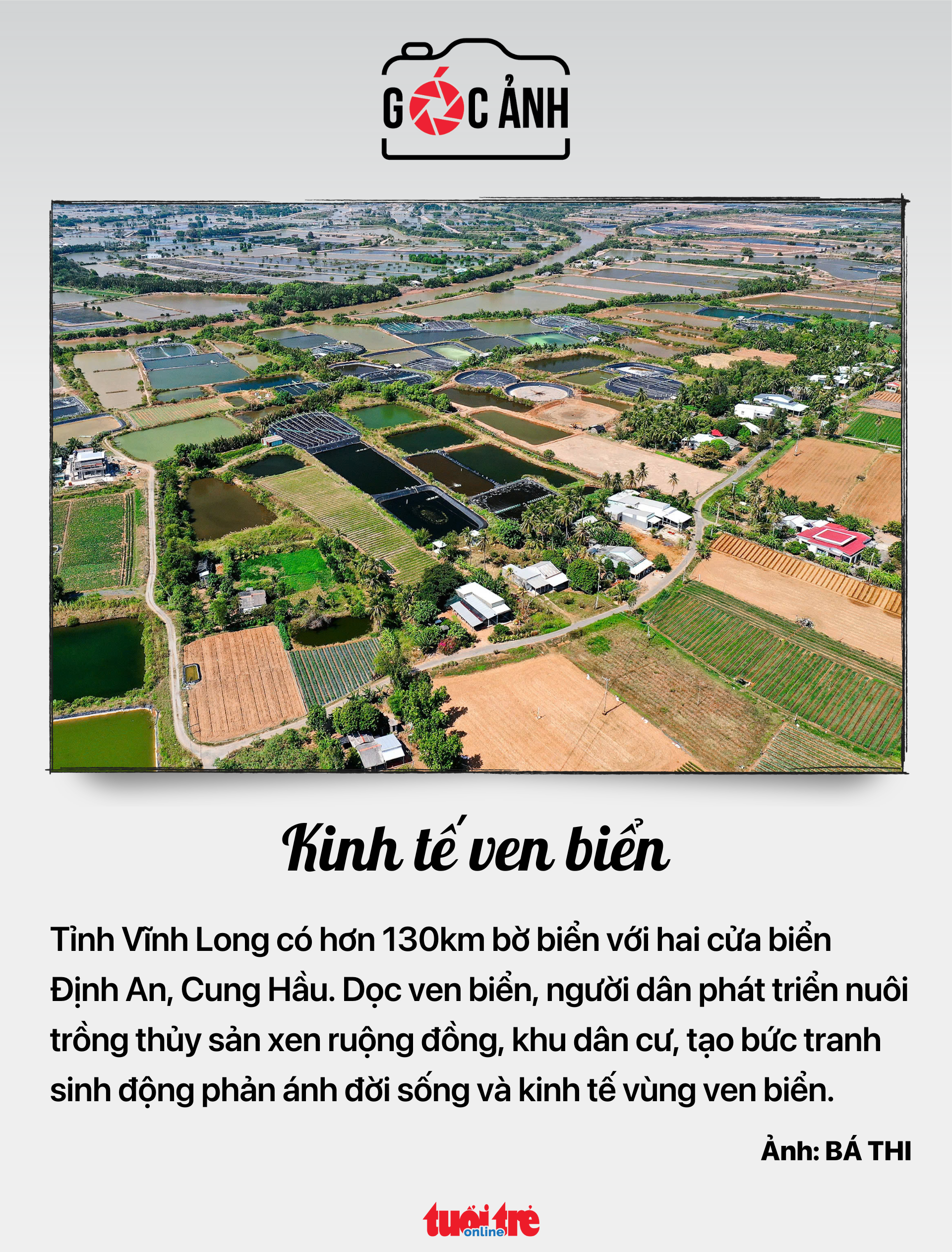 tin tức - Ảnh 7.