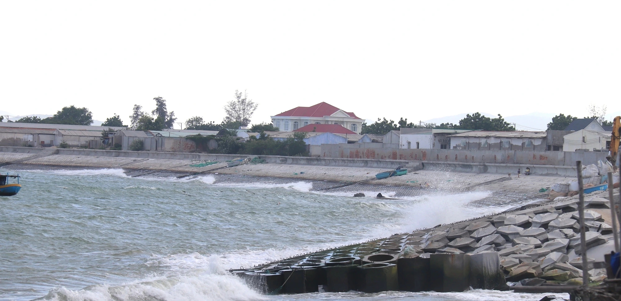 Dừng dự án 'tôm Bình Thuận' người nuôi tôm ảnh hưởng không ?- Ảnh 3.