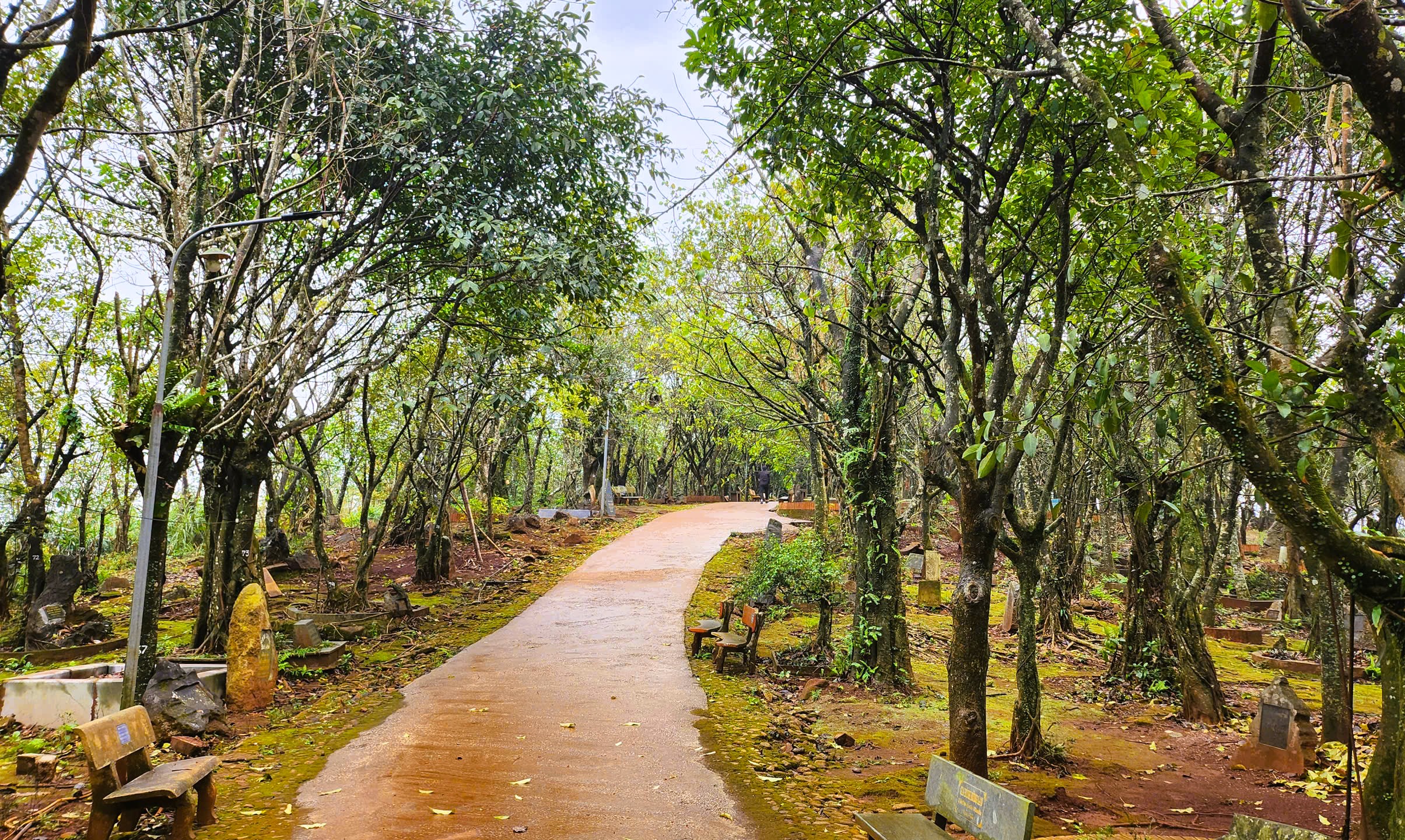 Huyệt đạo thiêng trên núi Nưa trong diện mạo mới 4 Huyệt đạo thiêng trên núi Nưa trong diện mạo mới - Ảnh 7.