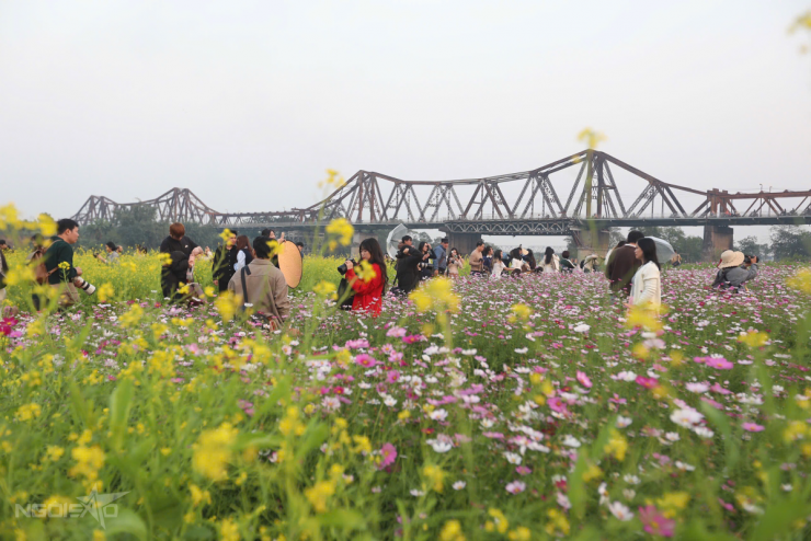 Bến hoa Phúc Xá hồi sinh, thành điểm 'săn' bình minh hot - 6