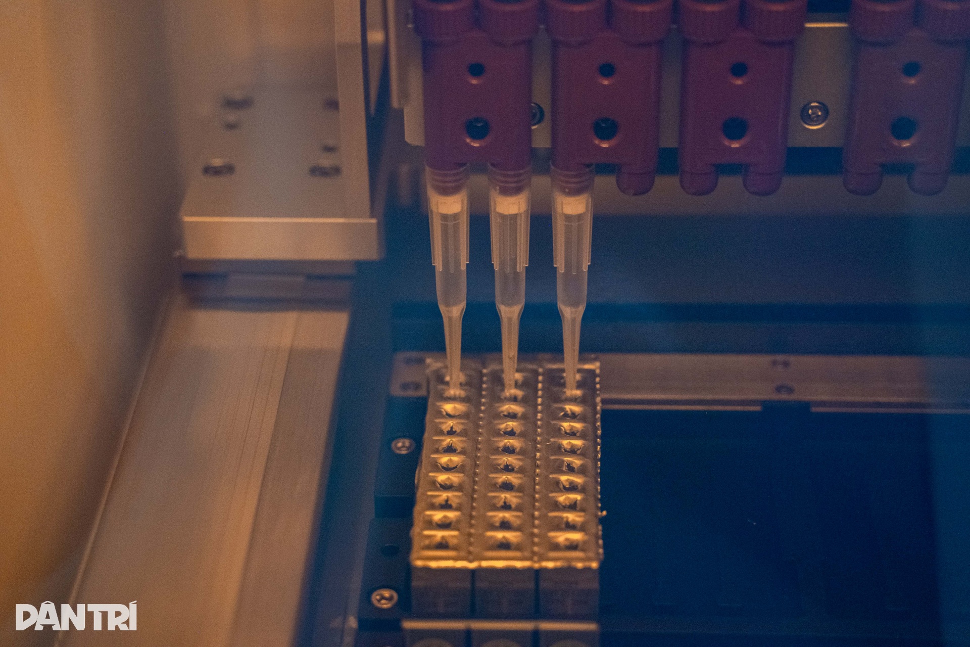 48 giờ truy tìm ADN đột biến, mở hướng điều trị đích cho bệnh nhân ung thư - 6 48 giờ truy tìm ADN đột biến, mở hướng điều trị đích cho bệnh nhân ung thư - 6