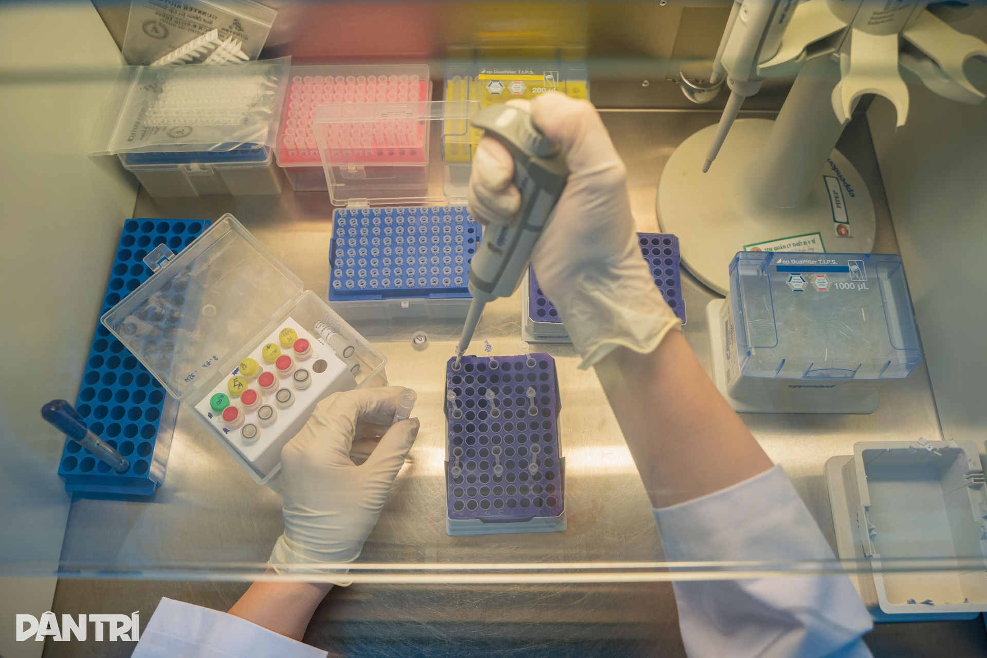 48 giờ truy tìm ADN đột biến, mở hướng điều trị đích cho bệnh nhân ung thư - 13 48 giờ truy tìm ADN đột biến, mở hướng điều trị đích cho bệnh nhân ung thư - 13