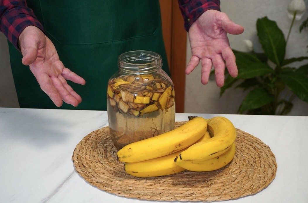 Cây lan ý “rất thích” loại nước này, biết tưới thì cây sẽ ra hoa suốt nhiều năm- Ảnh 2.