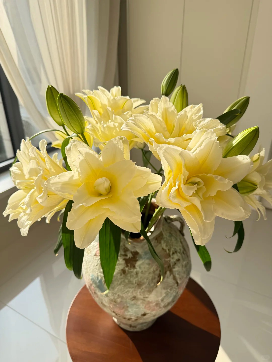 1768472107 178 Doa ly mau nang khien hoi yeu hoa vua yeu