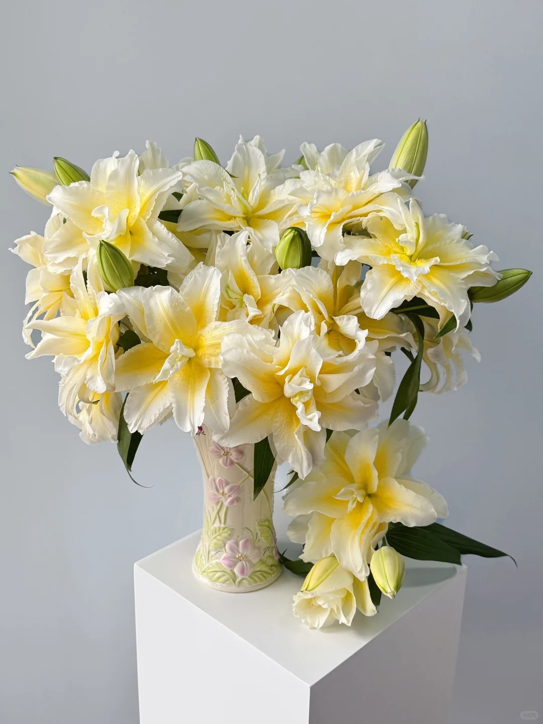 1768472109 192 Doa ly mau nang khien hoi yeu hoa vua yeu