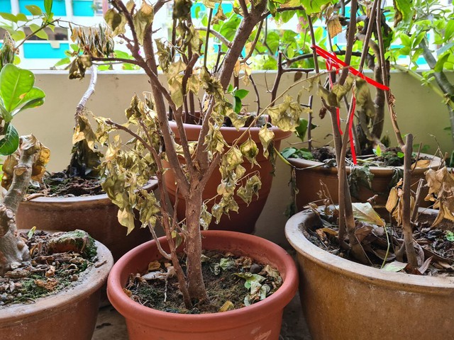 Năm 2026 rồi, 6 món đồ này cũng nên bỏ đi thôi- Ảnh 2.