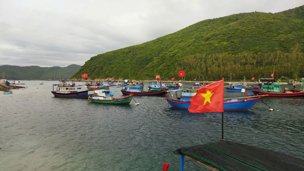 Đảo Bích Đầm vào bài giảng - Ảnh 2.