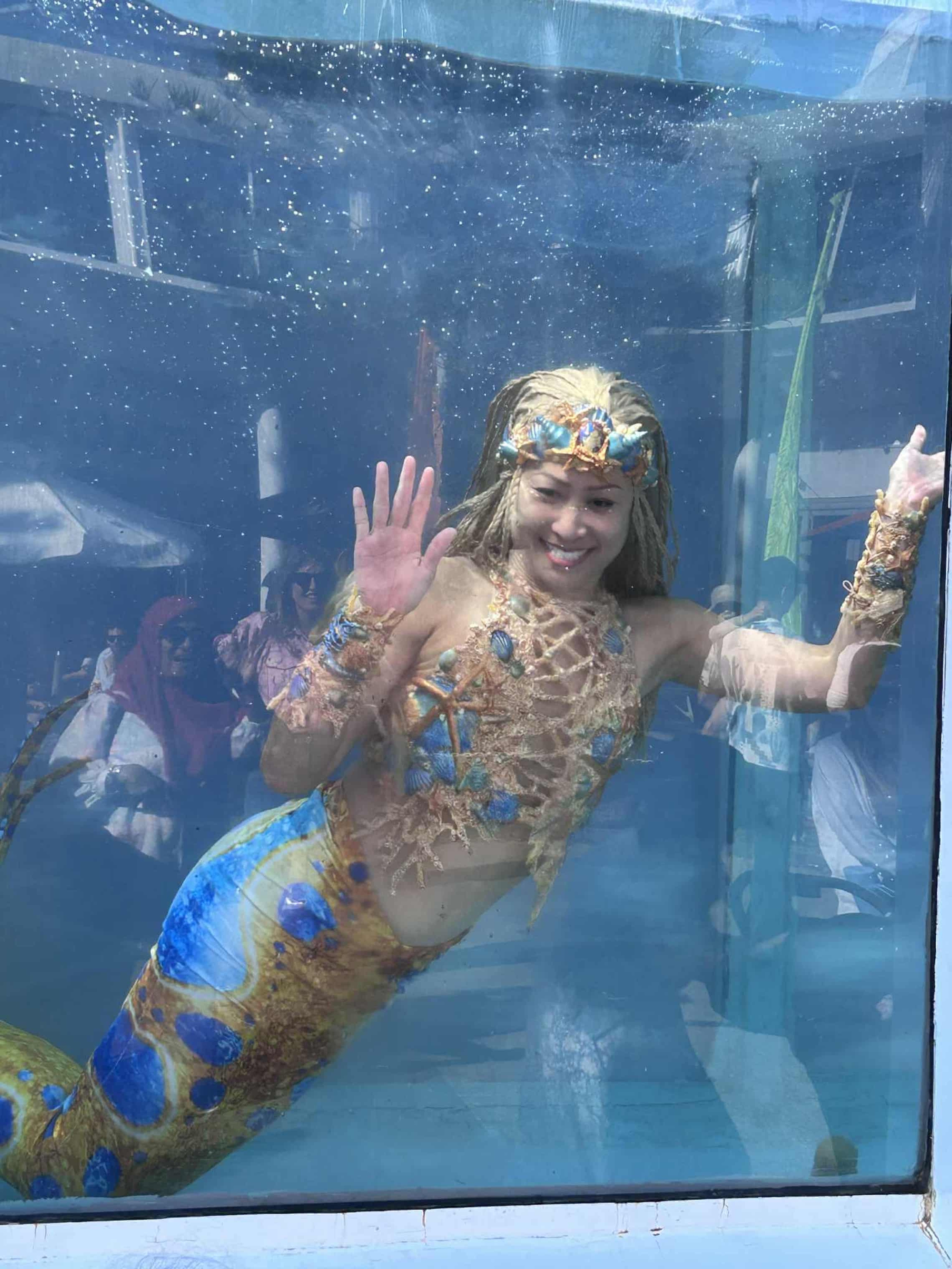 Gặp gỡ nàng tiên cá- Ảnh 5.