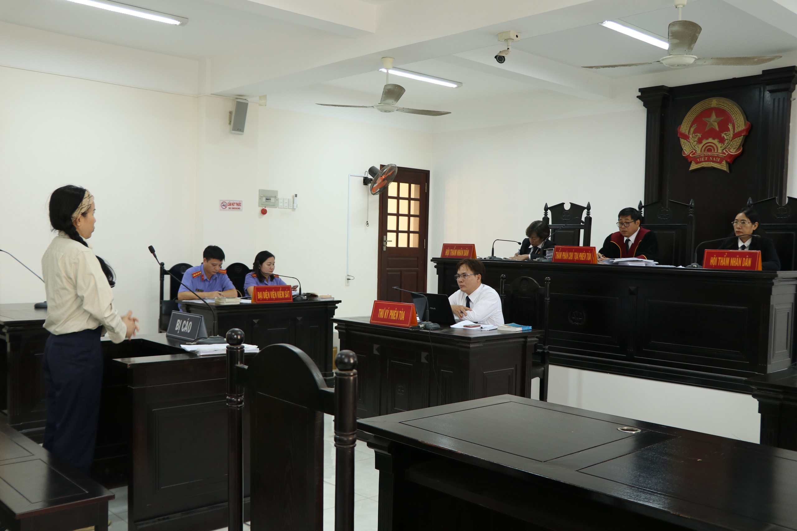 Vì sao tòa không đồng ý hoãn xét xử Đinh Thị Lan xúc phạm bà Nguyễn PhươngHằng? - Ảnh 1.