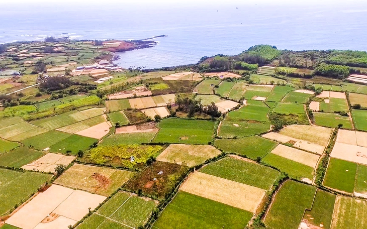 Quảng Ngãi mở cửa đón dự án cảng, kho khí hóa lỏng gần 3.800 tỉ đồng ở Dung Quất - Ảnh 4.