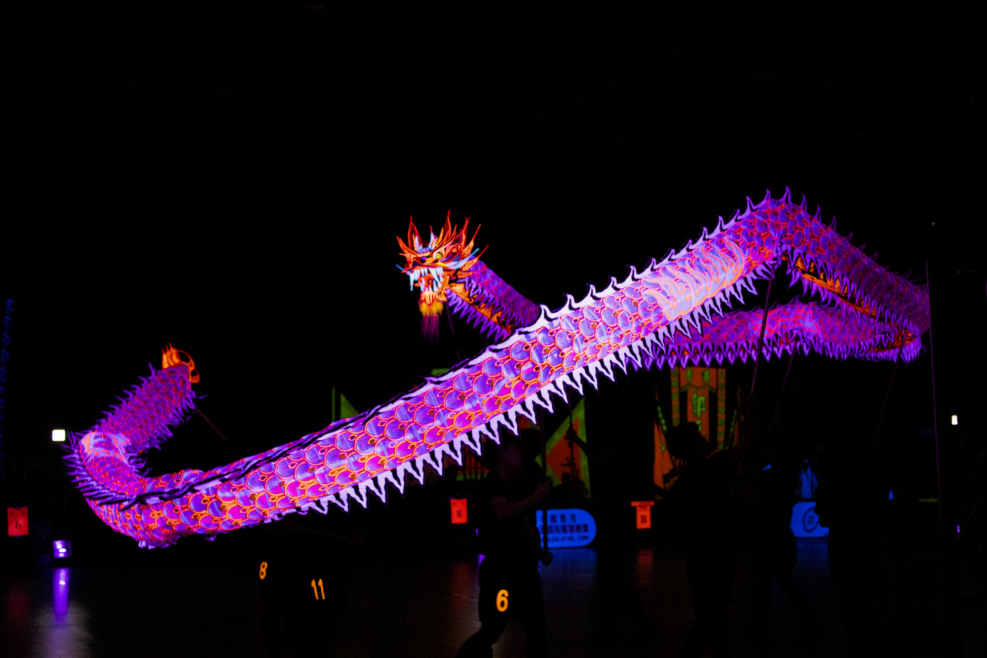 Tết Bính Ngọ ở Hồng Kông còn có thể thế này?- Ảnh 7.