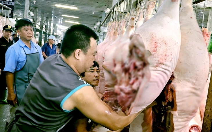 Tăng liên tục, giá heo hơi ở đỉnh 77.000 đồng/kg, giá dịp Tết sẽ thế nào?  - Ảnh 2.