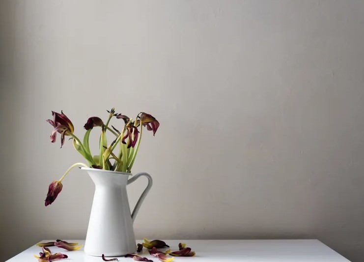 6 thứ khiến phòng bếp lúc nào trông cũng bừa bộn- Ảnh 3.