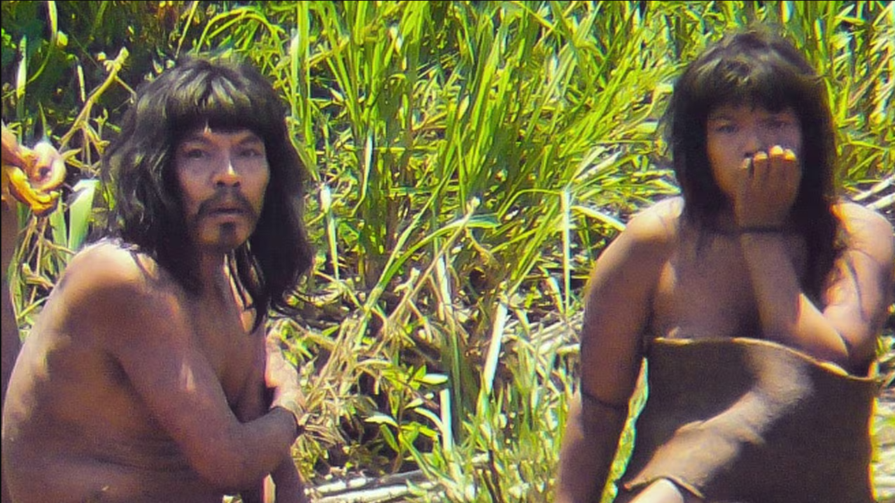 Lần đầu công bố ảnh của bộ lạc bí ẩn nhất thế giới, chuyên gia nói vẫn còn khoảng 200 cộng đồng tương tự- Ảnh 4.