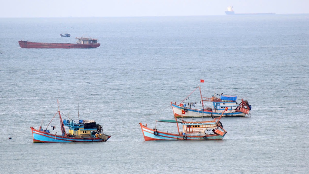 Bột cá Việt tiến gần nhãn xanh quốc tế nhờ mô hình hợp tác công tư - 3