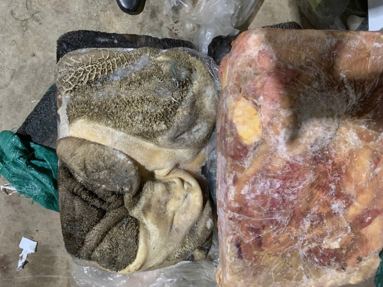 kiểm tra - Ảnh 2.