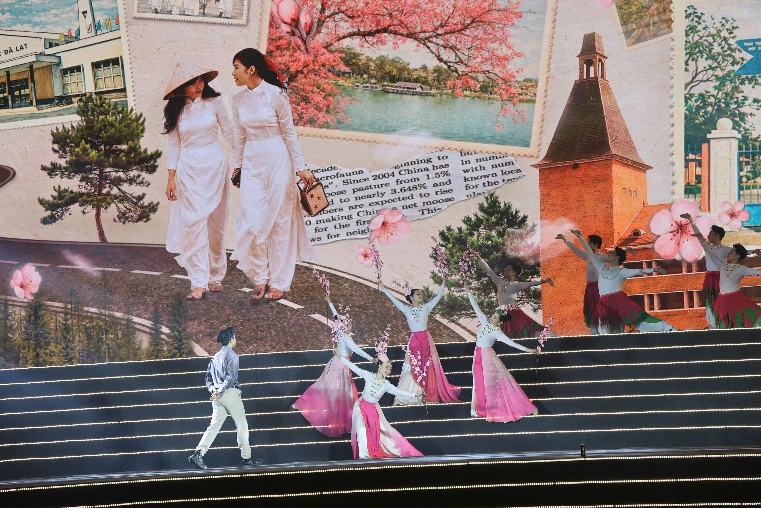 Mai anh đào Đà Lạt rực rỡ sắc xuân trong đêm khai hội- Ảnh 3.