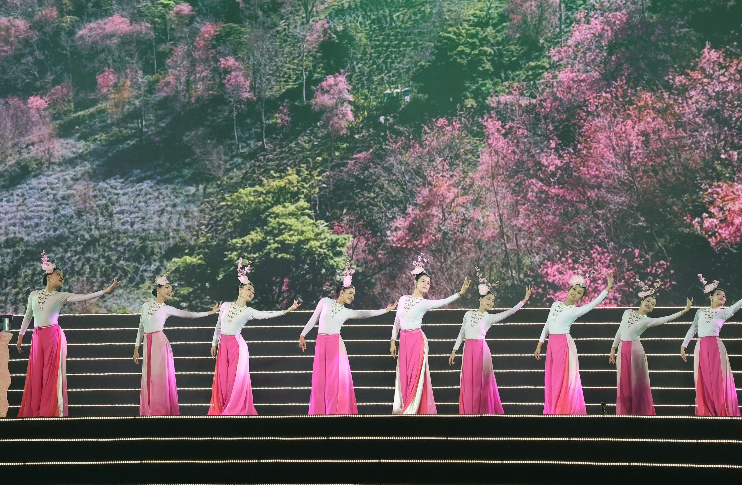 Mai anh đào Đà Lạt rực rỡ sắc xuân trong đêm khai hội- Ảnh 5.