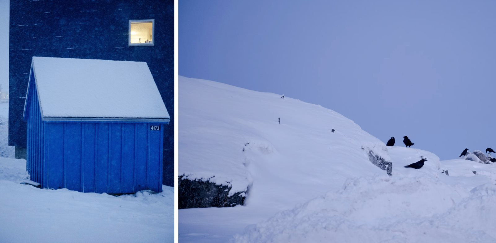 Sự thật 'trần trụi' ở vùng đất Mỹ đang nhắm đến: Chẳng phải mỏ vàng, chỉ sống nhờ tôm và tiền trợ cấp- Ảnh 3.