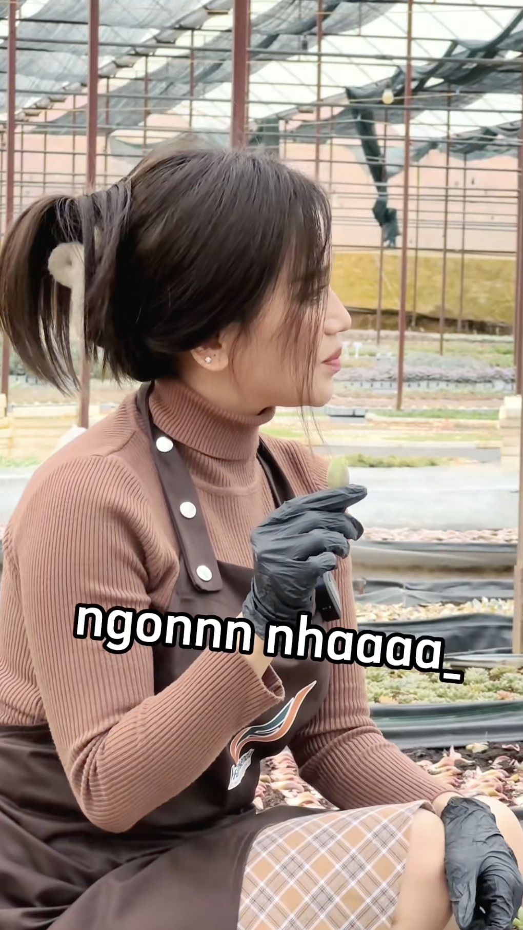 Cảnh báo trào lưu ăn sống sen đá chấm muối ớt, cẩn thận rước họa vào thân- Ảnh 3.