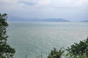 Xây dựng dự thảo nghị định cơ chế đặc thù cho dự án lấn biển ở Đà Nẵng