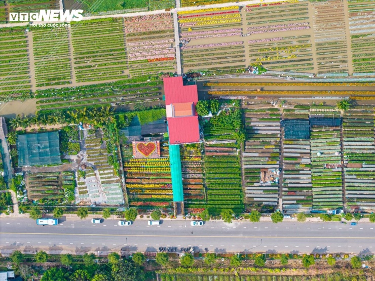 Nếu cận Tết là lúc làng hoa Sa Đéc rực rỡ và sôi động nhất, thì đầu vụ Tết lại mang một vẻ đẹp khác, nhẹ nhàng và giàu chất đời sống. Hoa đang lớn từng ngày, người trồng hoa vừa làm vừa quan sát, du khách đến với tâm thế thưởng lãm nhiều hơn là chạy theo không khí lễ hội.