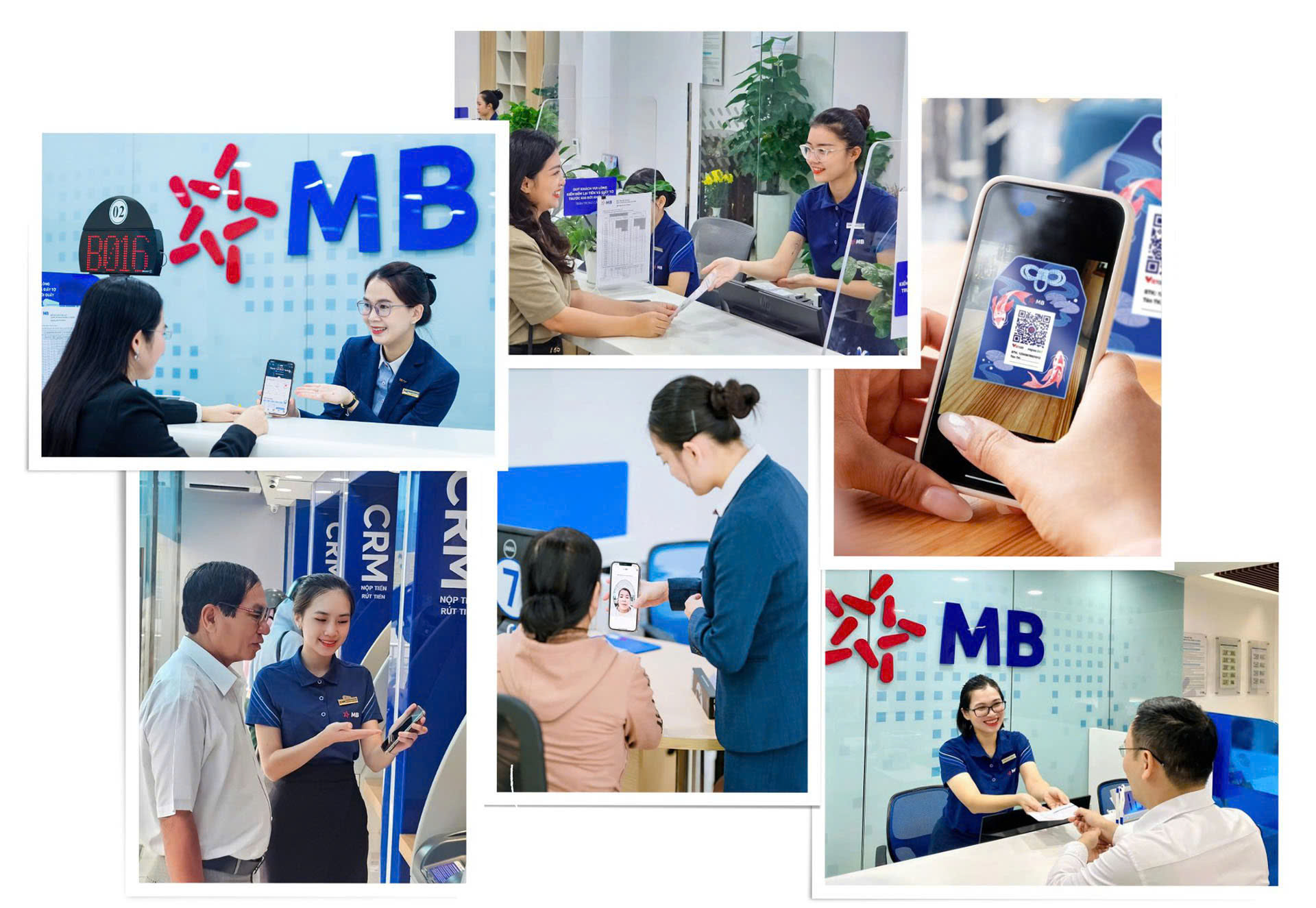 1768652085 154 MB vuon len dan dau tang truong tai san trong