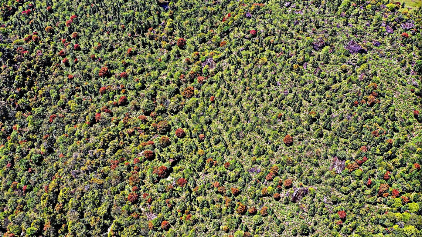 Để chinh phục đỉnh Chiêu Lầu Thi phải mất hơn 3 giờ leo bộ. Nếu chinh phục đỉnh núi này vào mùa hè, thời tiết mát mẻ mùa thu, cảnh sắc như mùa xuân. Còn vào mùa đông, trời cực kì lạnh giá. Dọc theo đường lên núi là những cánh rừng già nguyên sinh với một quần thể thực vật phong phú, đặc biệt là có nhiều loài cây quý hiếm như cây tống quán sủ, cây chè shan tuyết, cây kim tuyến, đỗ quyên…