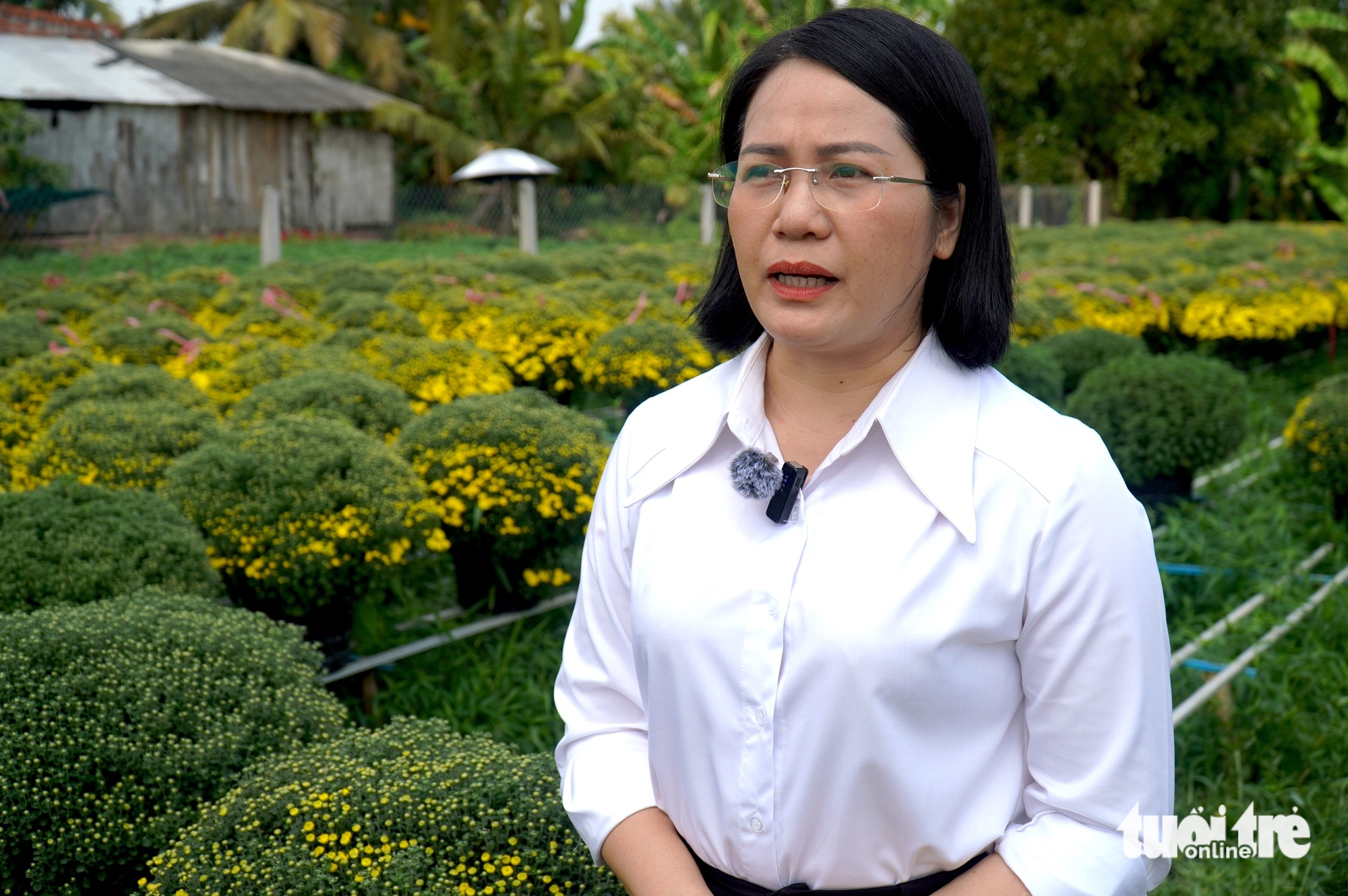 Bí thư và phó chủ tịch xã Chợ Lách livestream bán cúc mâm xôi giúp nhà vườn - Ảnh 2.