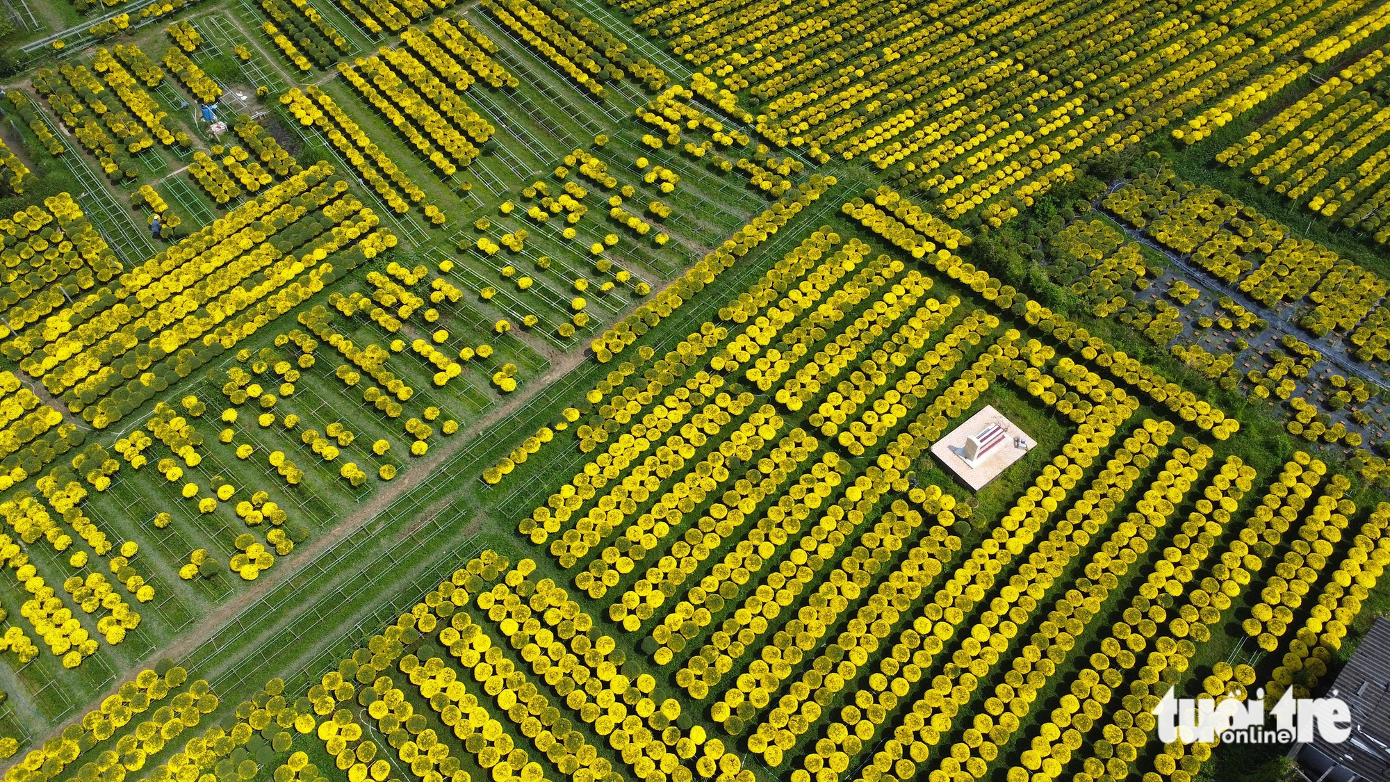 chợ lách - Ảnh 6.