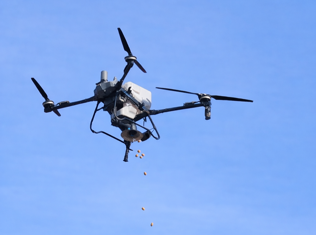 rừng sa mạc - Ảnh 5.