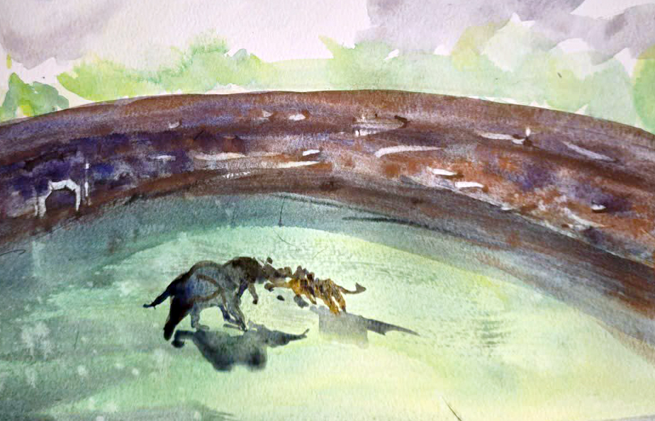 Vì sao triều Nguyễn cho 40 con voi tử chiến 18 con hổ?- Ảnh 4.