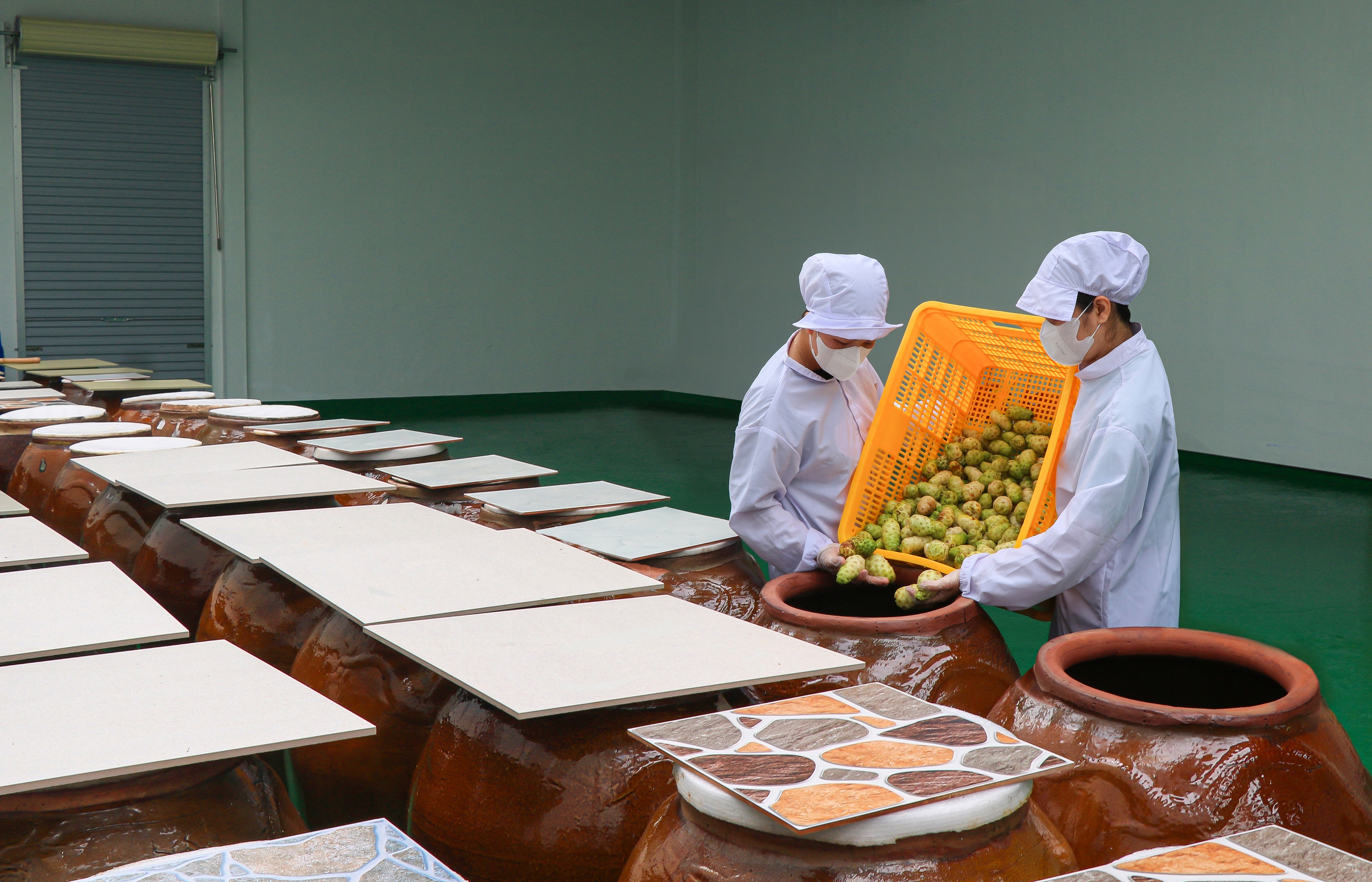 BỎ PHỐ VỀ QUÊ - Ảnh 4.