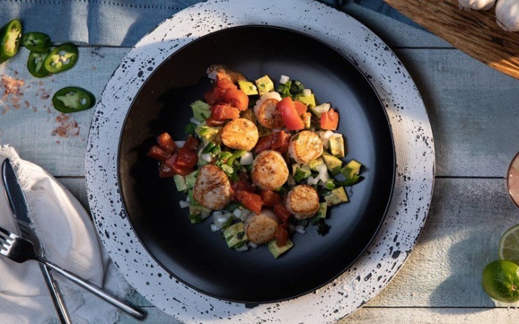 Màu sắc hài hoà giữa các nguyên liệu trong món ăn này giúp tăng thêm vị “ngon mắt” đối với thực khách. Salad sò điệp sử dụng những nguyên liệu lành tính như sò điệp, các loại rau củ và dầu oliu để trộn. Chính vì vậy salad sò điệp sẽ là sự lựa chọn tốt cho những người đang ăn kiêng theo chế độ healthy.