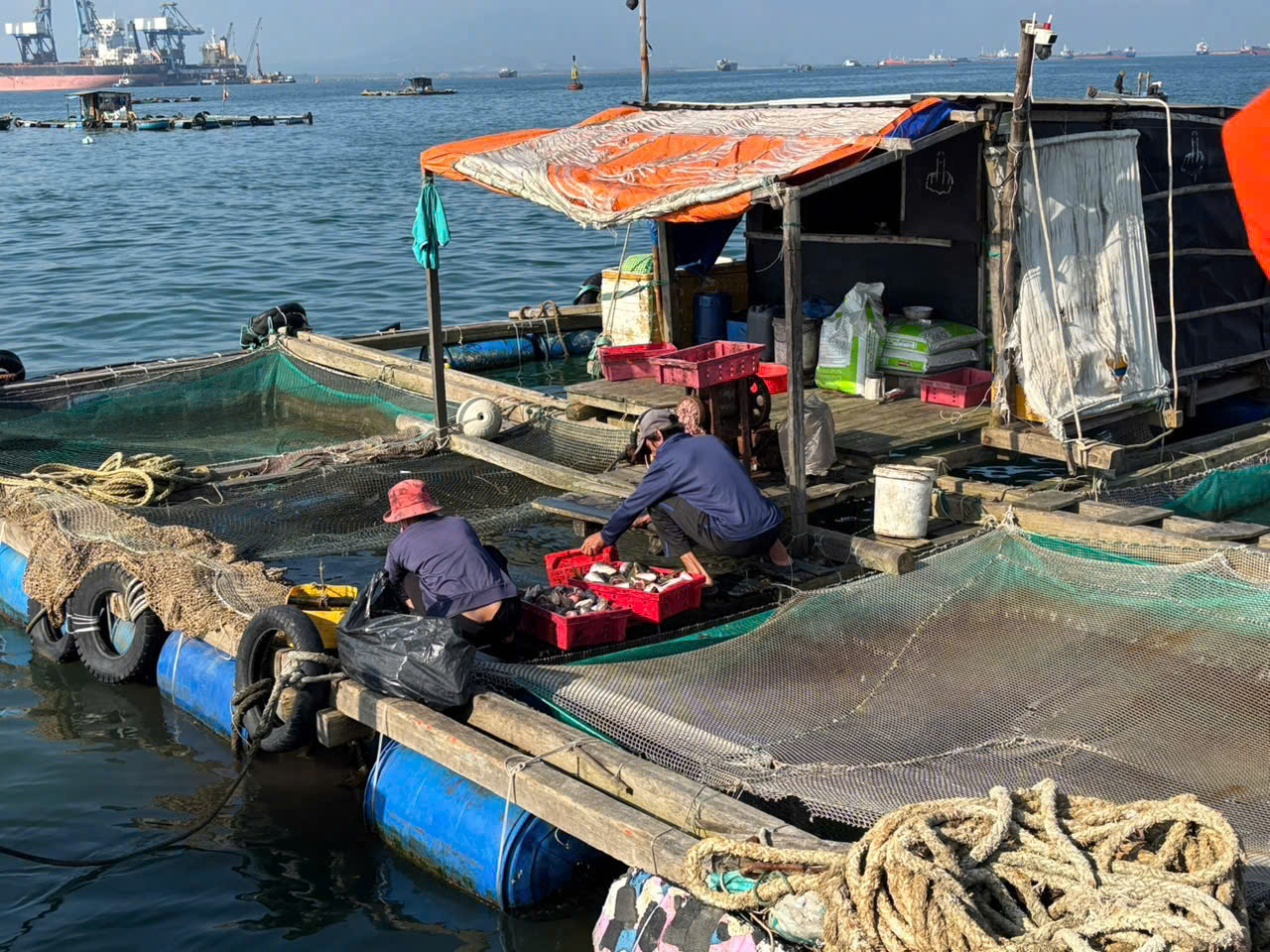 Lồng bè nuôi thủy sản 'tạm trú' kéo dài lấn luồng hàng hải cảng Dung Quất - Ảnh 3.