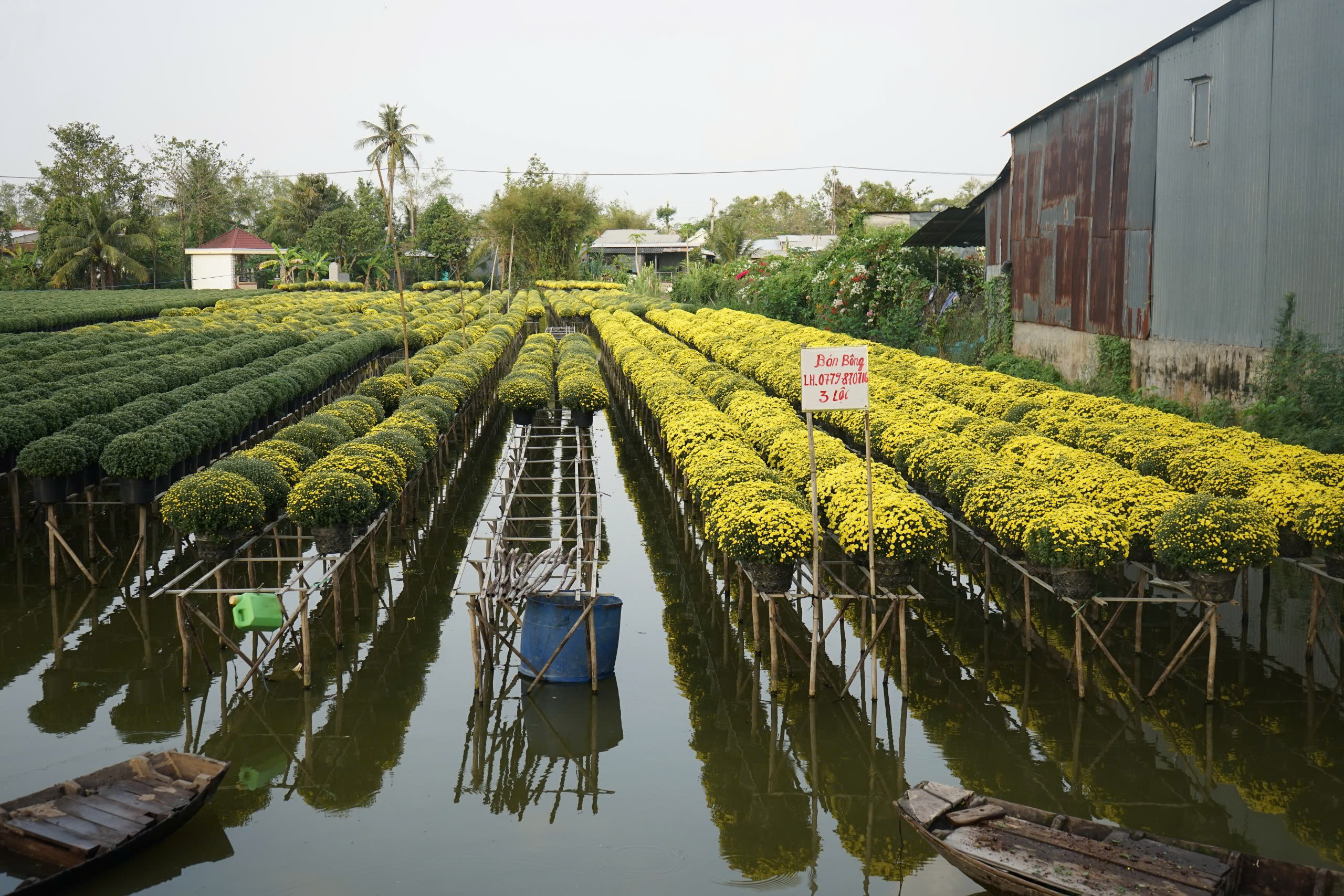 Từ nghề thuần nông đến di sản quốc gia- Ảnh 3.
