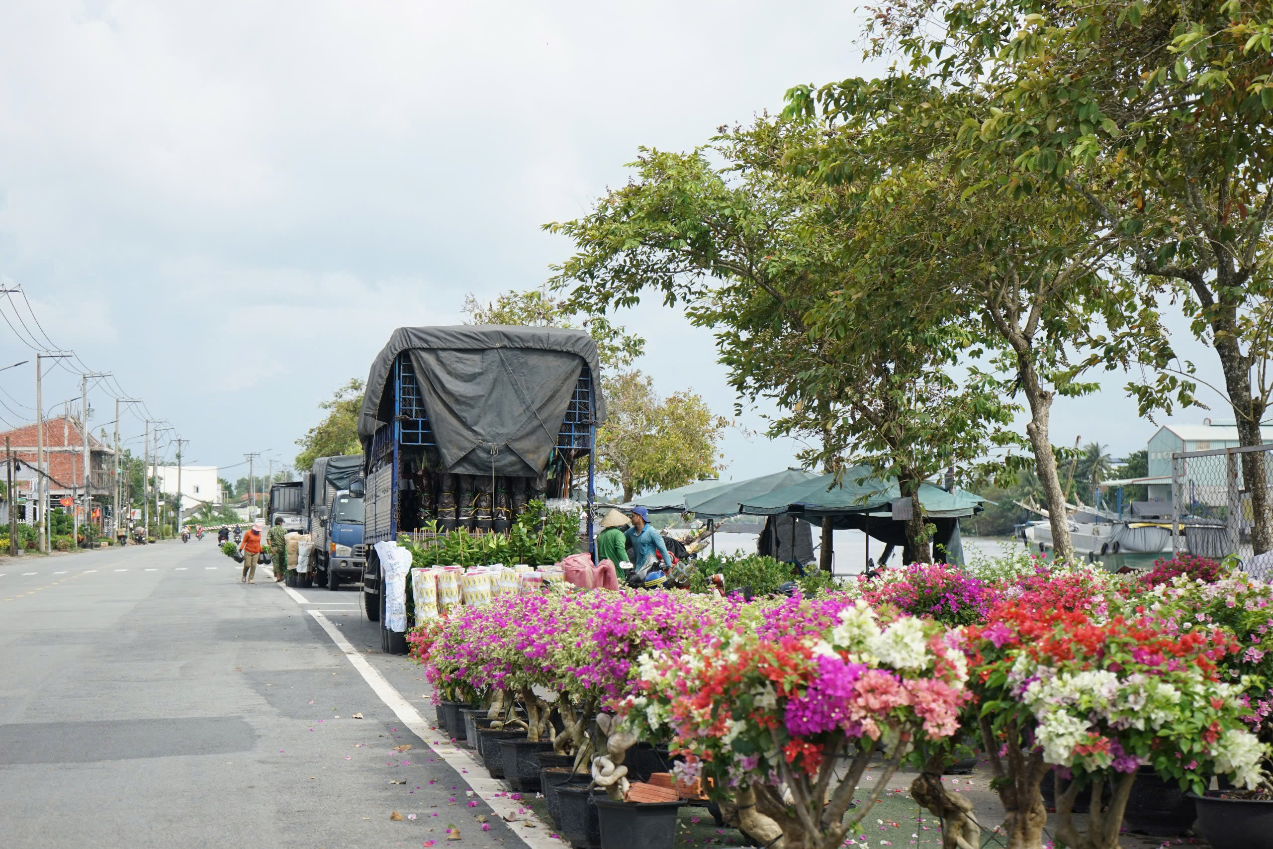 Từ nghề thuần nông đến di sản quốc gia- Ảnh 4.