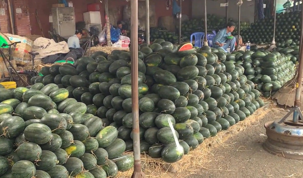 Chợ tết bắt đầu sôi động- Ảnh 2. Chợ tết bắt đầu sôi động- Ảnh 2.