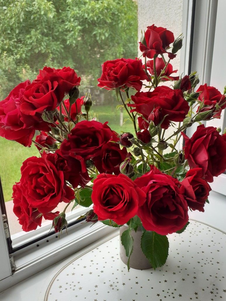 Mồng 1 tháng Chạp: 5 loại hoa dâng bàn thờ đúng lễ nghi, chuẩn phong thuỷ, bề trên ưng ý- Ảnh 5.