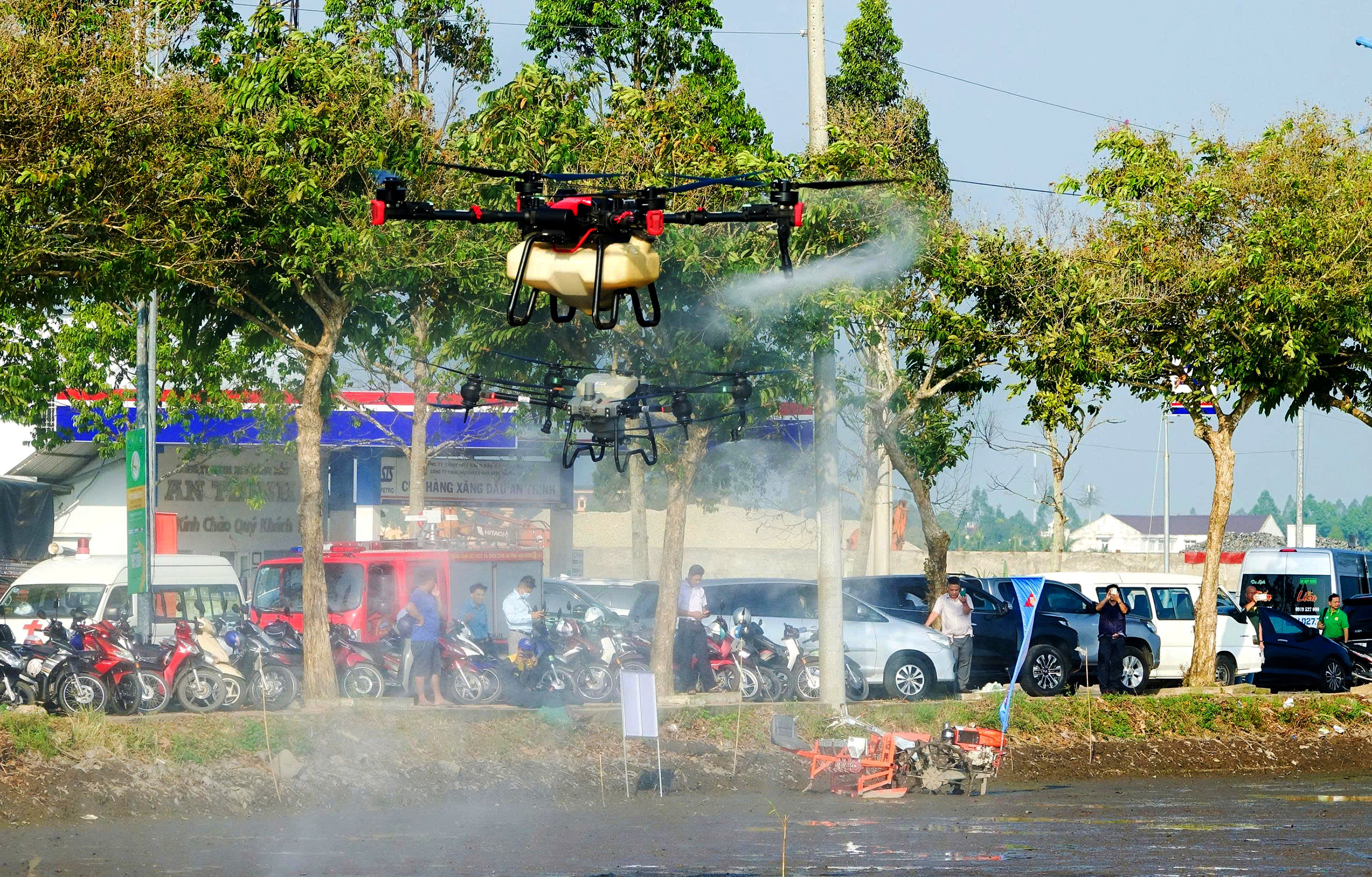 Đại hội XIV - Ảnh 4.