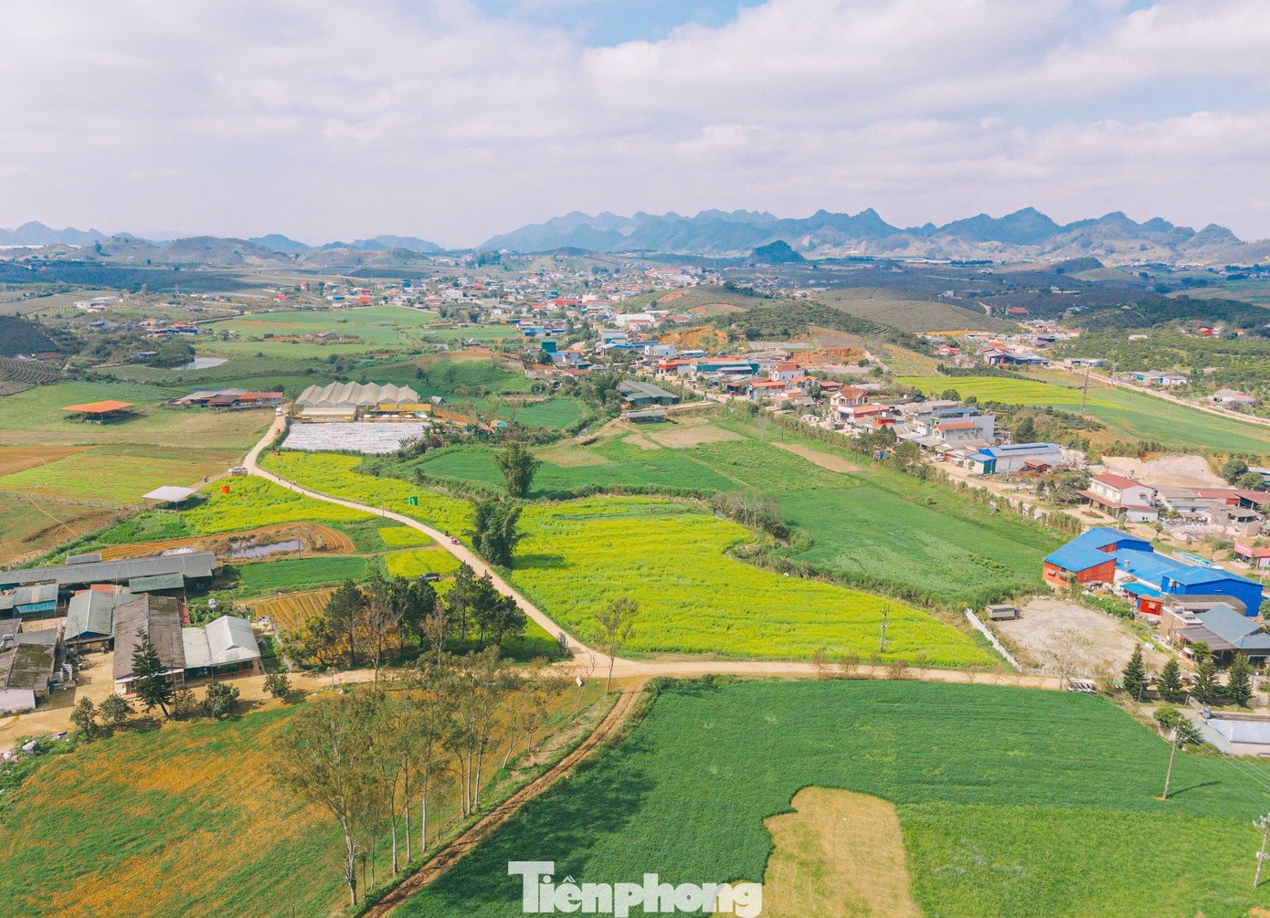 Giữa khung cảnh thiên nhiên khoáng đạt, sắc vàng của hoa cải nổi bật trên nền xanh thẫm của núi rừng và màu xám nhạt của sương sớm. Khi nắng lên, sương tan dần, cả cánh đồng như bừng tỉnh, ánh vàng lan tỏa, phản chiếu lấp lánh, tạo nên một bức tranh đầy sức sống. Không ít du khách cho biết, chỉ cần đứng giữa cánh đồng hoa, hít hà hương cỏ cây và lắng nghe tiếng gió, mọi mệt mỏi, bộn bề của cuộc sống thường nhật dường như tan biến.