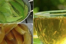 Loại lá mọc đầy vườn, đun lên uống giúp giảm cân, kiểm soát đường huyết an toàn và hiệu quả