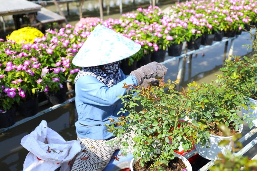 làm đẹp hoa 12.JPG